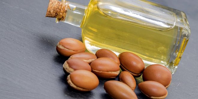 minyak argan oil terbaik