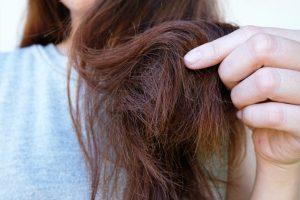 shampoo untuk rambut kering terbaik