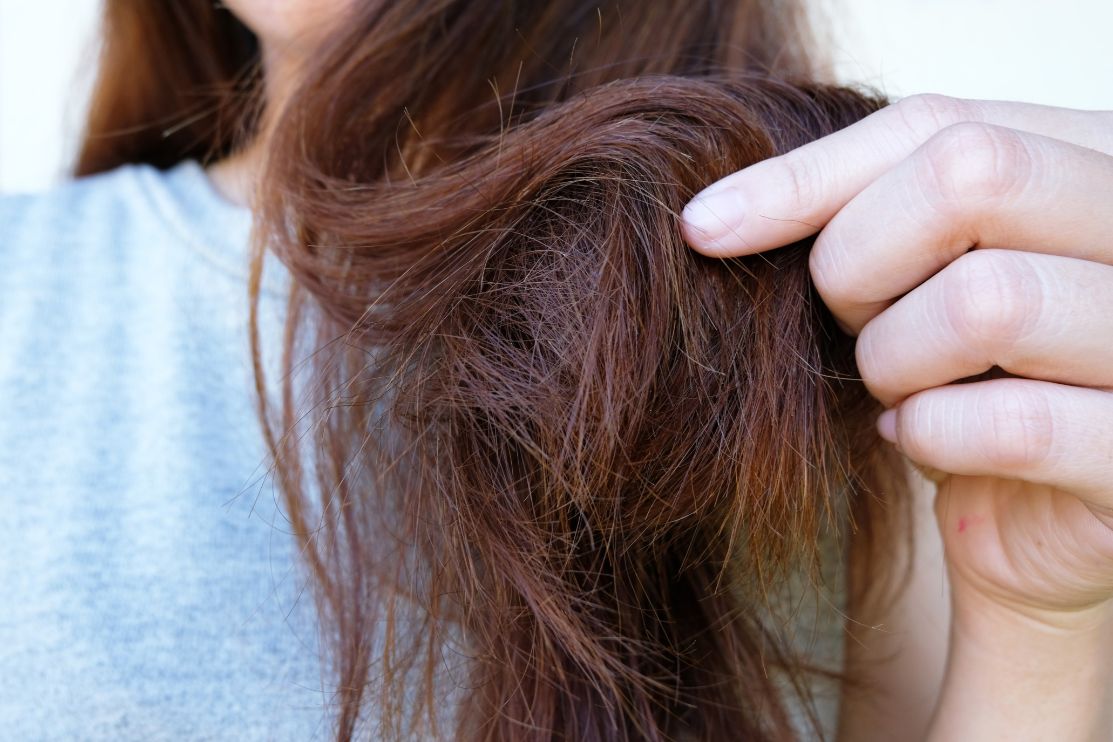 shampoo untuk rambut kering terbaik