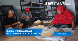 Cara Daftar dan Syarat pencairan BLT UMKM Rp 1,2 Juta liputantimes.com april 2021