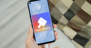 Mengatasi Tidak Dapat Login ke Apk Theme Store OPPO. liputantimes.com