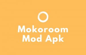 mokoroom mod apk