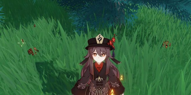 Pinecone Genshin Impact