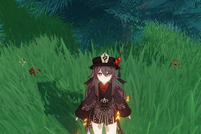 Pinecone Genshin Impact