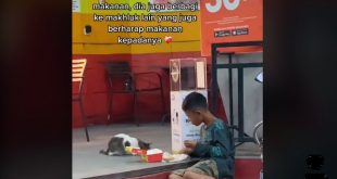 Bocah Laki-laki Berbagi Makanan Dengan Kucing