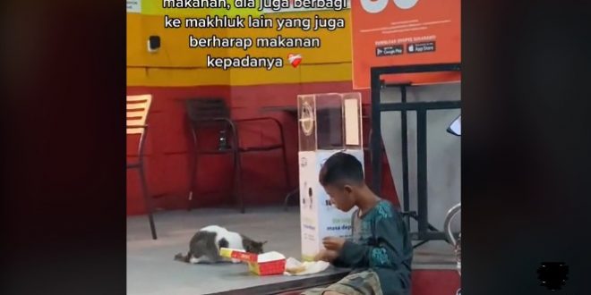 Bocah Laki-laki Berbagi Makanan Dengan Kucing