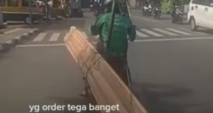 driver ojol angkut kayu