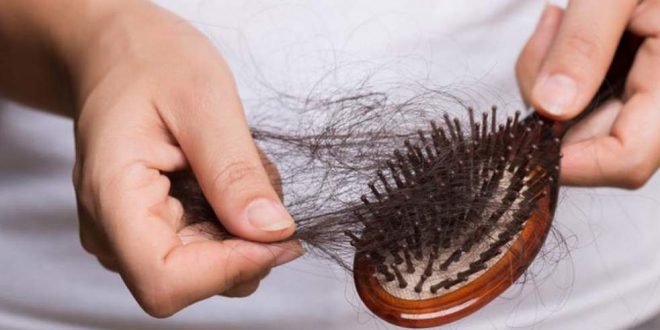 makanan bisa bikin rambut rontok