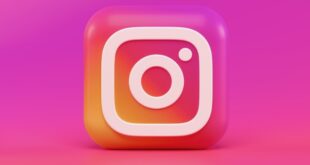 cara download profil instagram