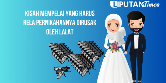 Kisah Mempelai yang Harus Rela Pernikahannya Dirusak oleh Lalat www.liputantimes.com
