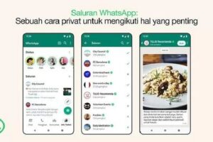 saluran whatsapp