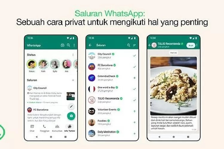 saluran whatsapp