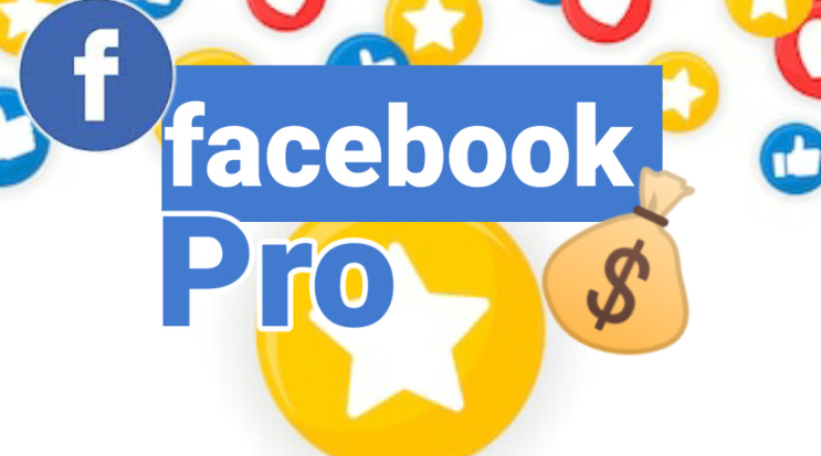 Facebook Pro