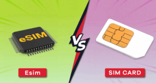 perbedaan esim dan sim biasa