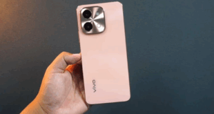 hp vivo