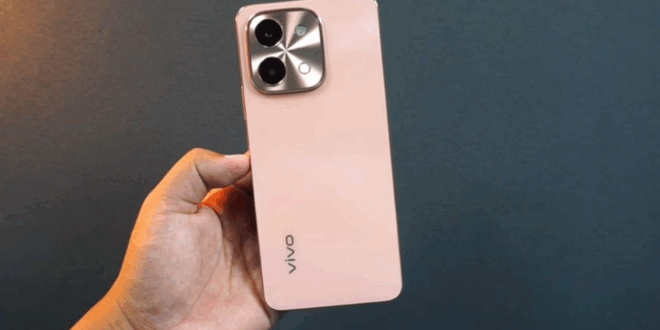 hp vivo