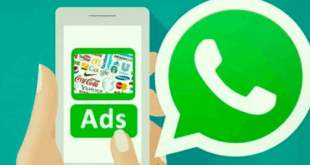 iklan muncul di whatsapp